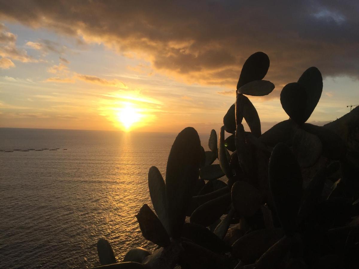 Mango House Villa Arco da Calheta  Eksteriør billede