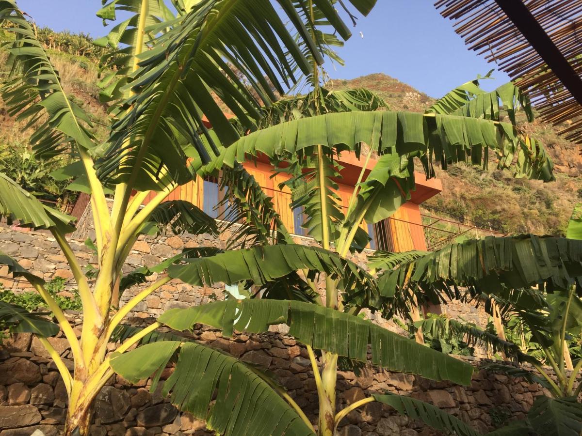 Mango House Villa Arco da Calheta  Eksteriør billede