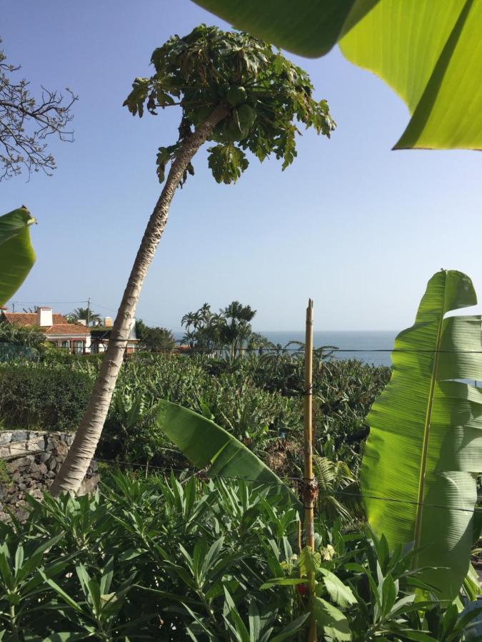 Mango House Villa Arco da Calheta  Eksteriør billede